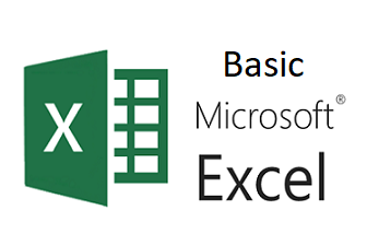 Basic Microsoft Excel Training